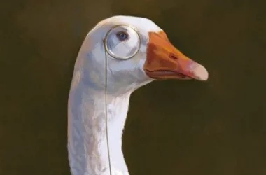 f6fgaj.webp