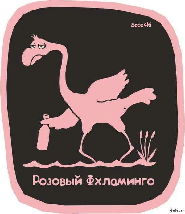 f6gebc.webp
