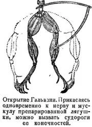 f6hjee.webp