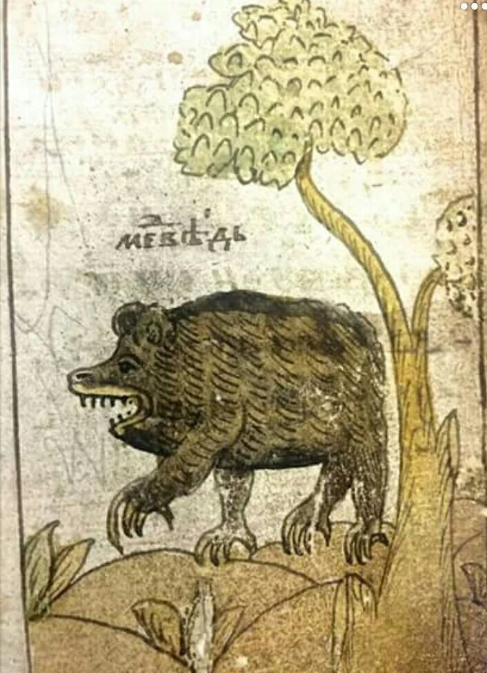 f6jgda.webp