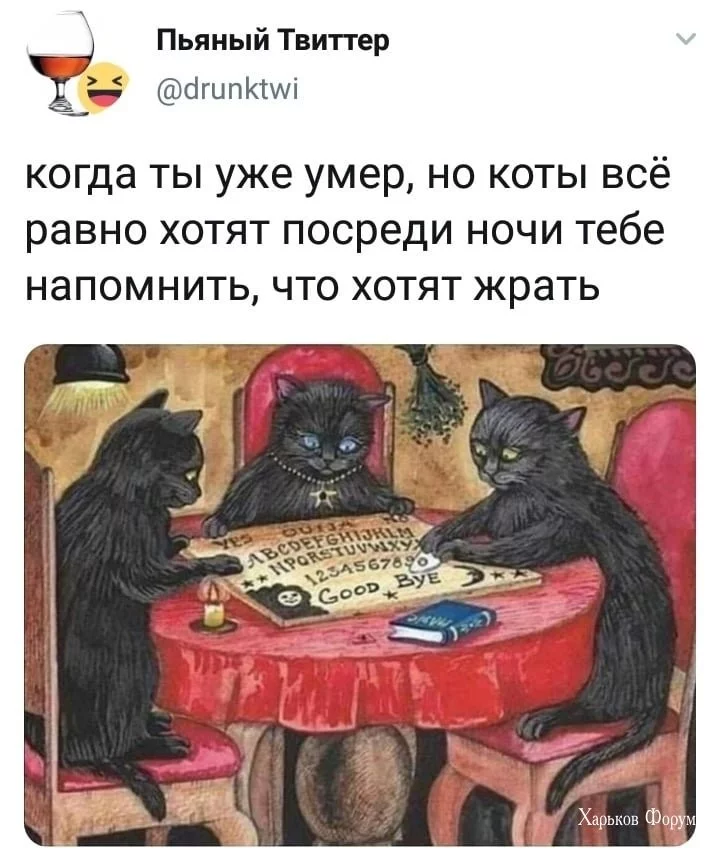 f7034714906f70a91c1bf6.webp