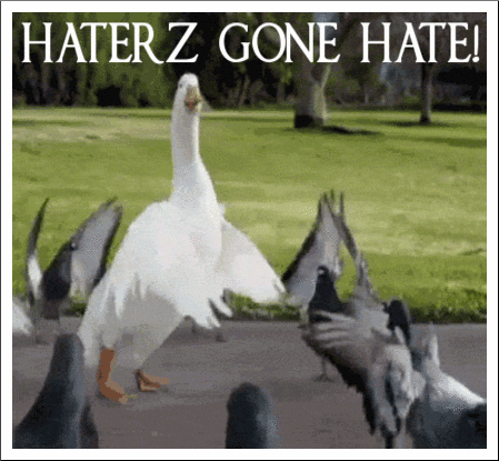 f718236b851842959a7030ded1269c91.gif