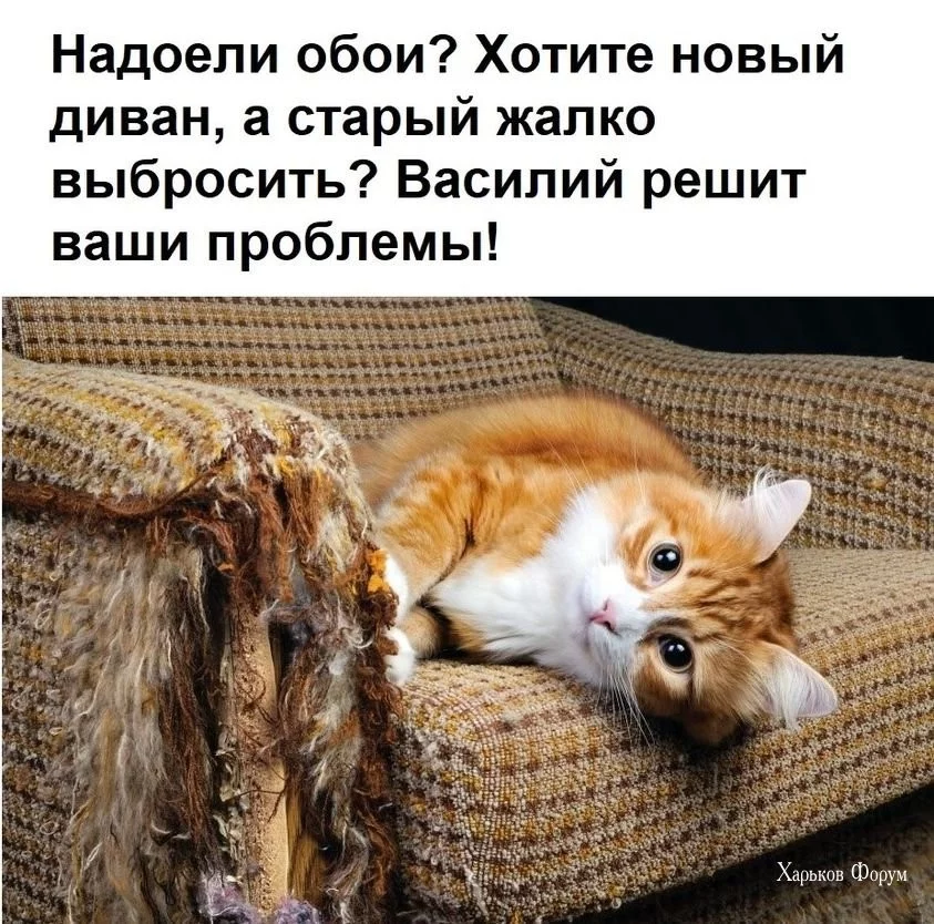 f71bfe834f84aa40bde.webp