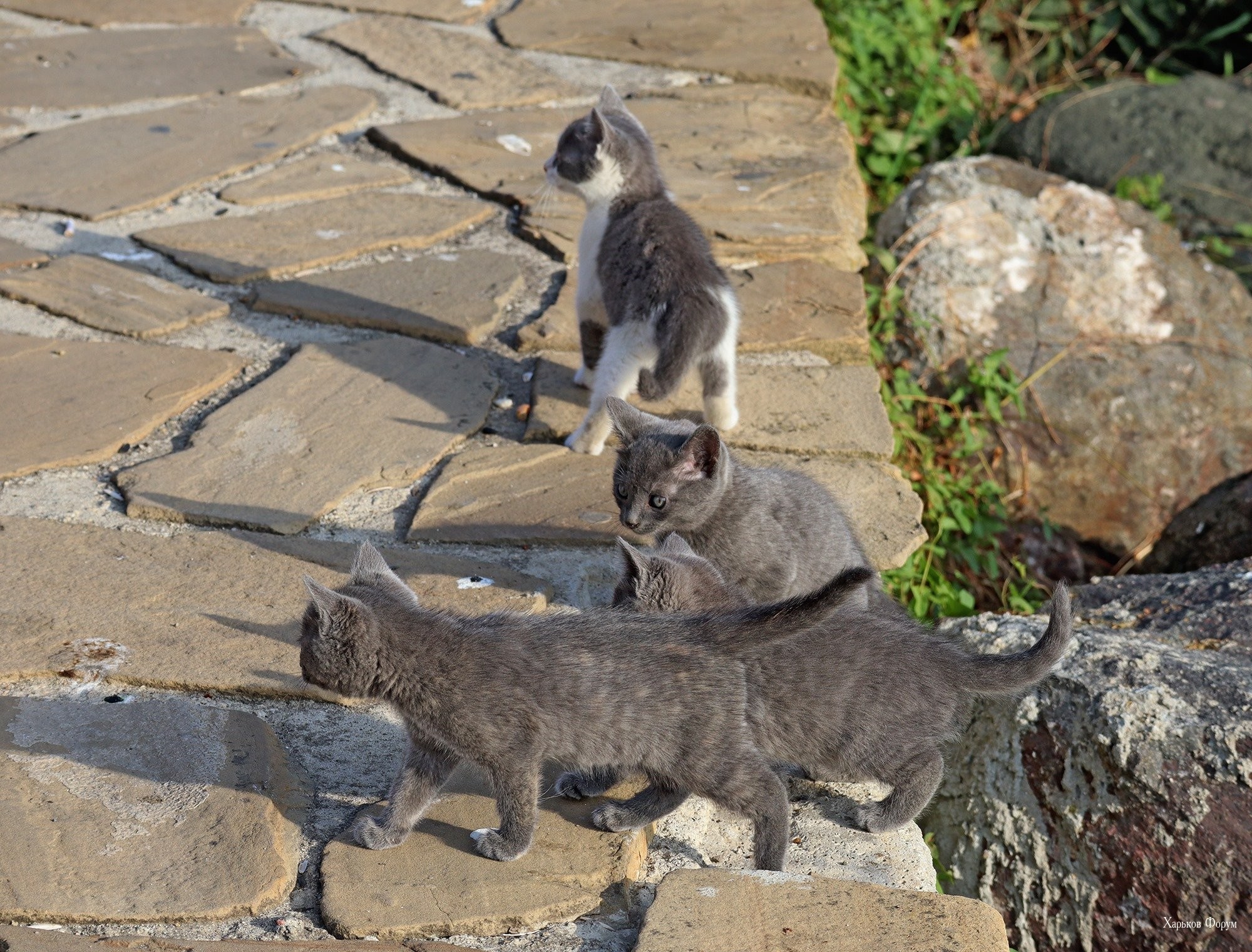 f733c2814080285e.jpg