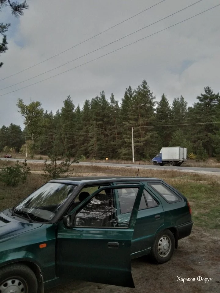 f736d22eb66dfeae3c600a85.webp