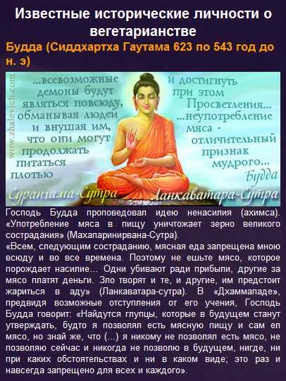 f746239489d93c38630668de44f17568.webp