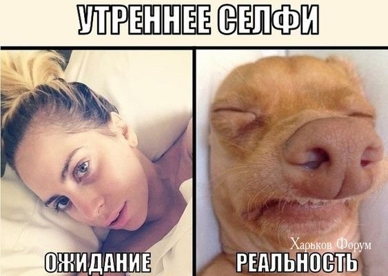 f747e9e0f00c542f5c2f.jpg
