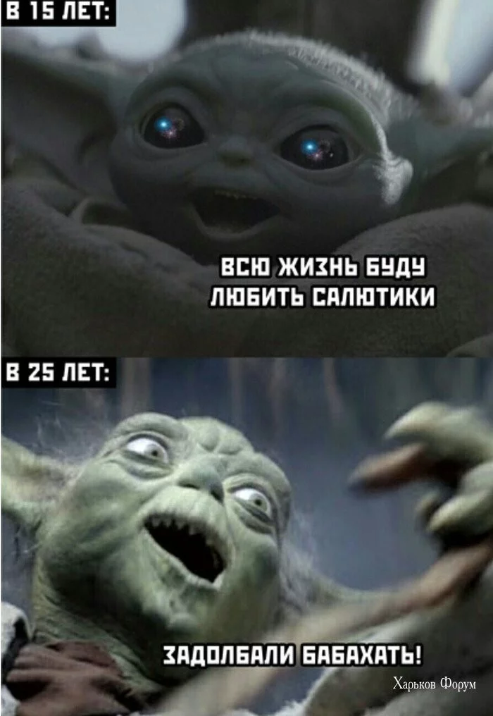 f7884667761395eb.webp