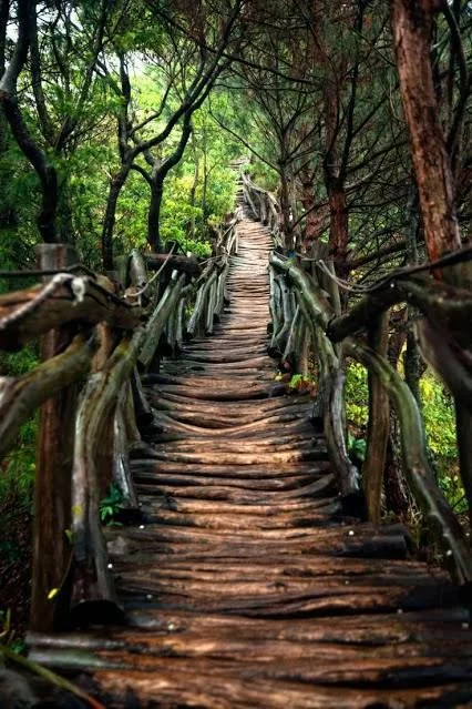 f78d71cface88b01e7573a1af2779b7a--pathways.webp