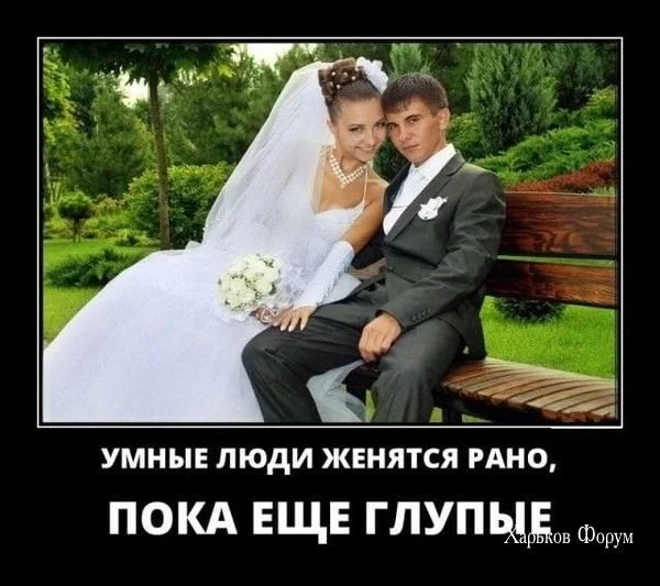 f78eb63eaca831895d05577c.webp