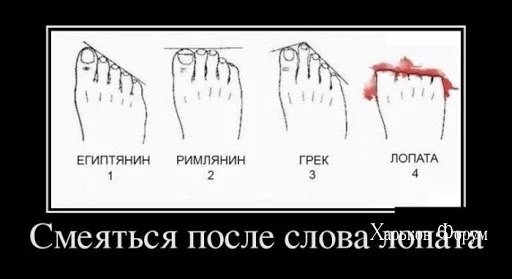 f79900b4935be15b019a55f.webp