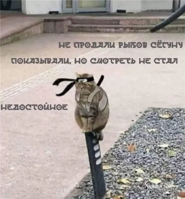 f7a01aa2ec8f1323674a06f.webp