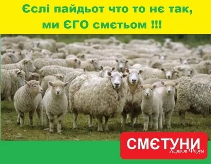 f7a03210d5130e20d6da.webp