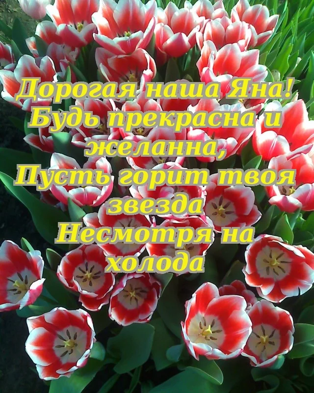 f7a29db86876d0546dbac559ac3f4dc6.webp
