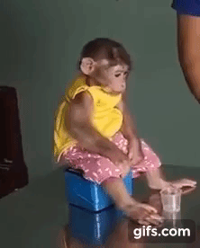 f7a95ab3855af65049f83d99.gif