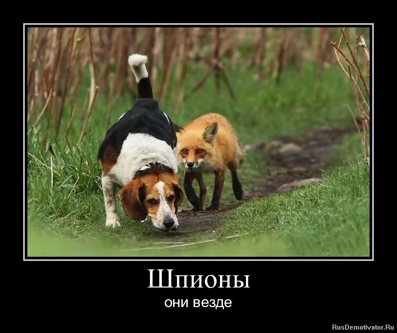 f7agcg.webp