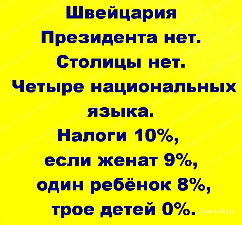f7bba2a76635c40c1.webp