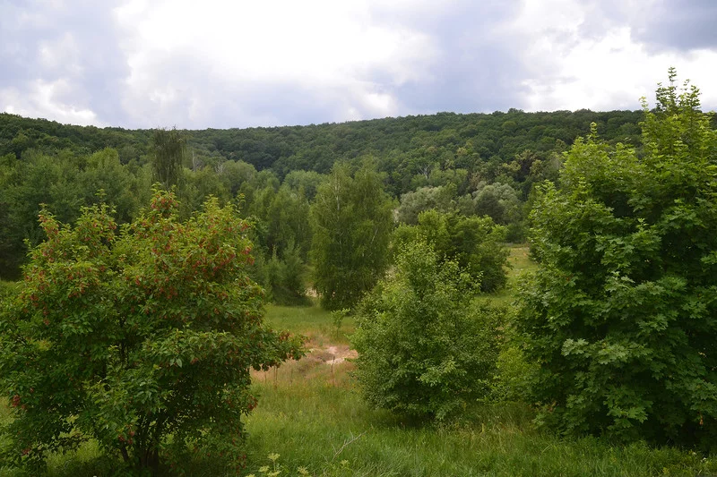 f7bdhe.webp