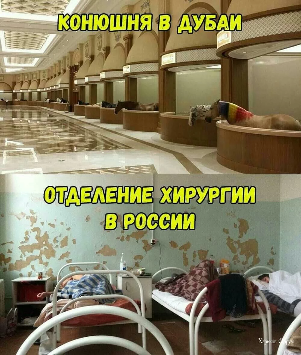 f7c8a14b8c5371e0b81.webp