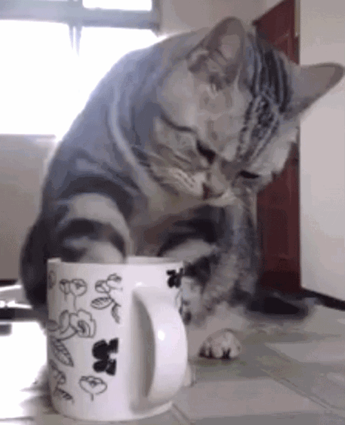 f7d44f9bdb1e5e284ee31c0.gif