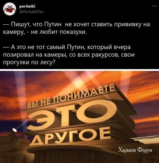 f7da63d81f2ef462a3e98039.webp