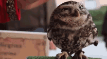 f7df5d095430c9ab529.gif