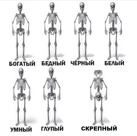 f7dfgc.webp