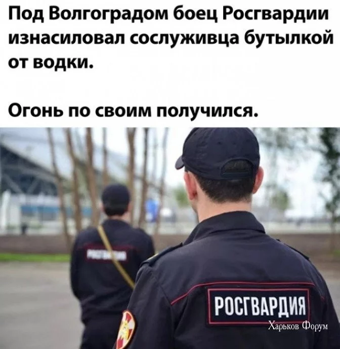 f7f504144ab5486e5.webp