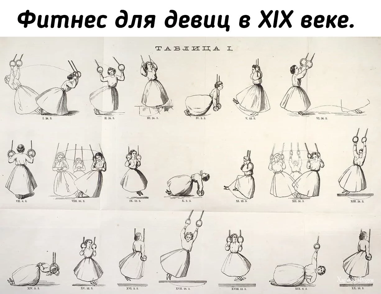 f7f504cd47728ffd46379c4.webp