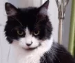 f7wVq3mL_o.webp