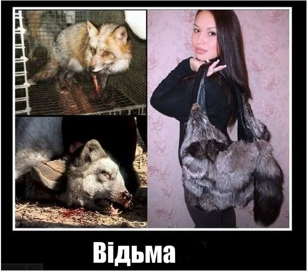 f80095461b3211b5e7ef6346be677757.webp
