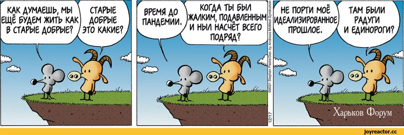 f81be5de11c2a2218c3ad07.webp