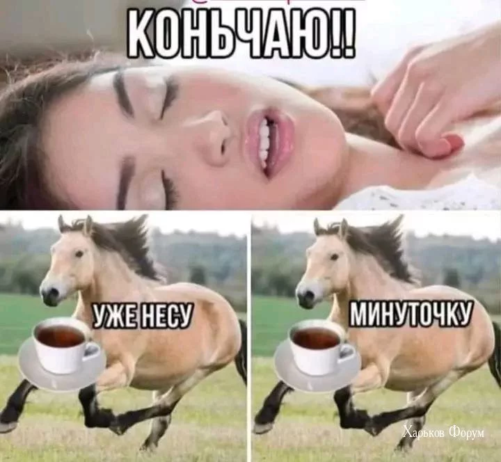f82461558c6aa94a42.webp