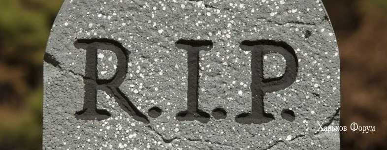 f8277e89929023cacfb129.webp