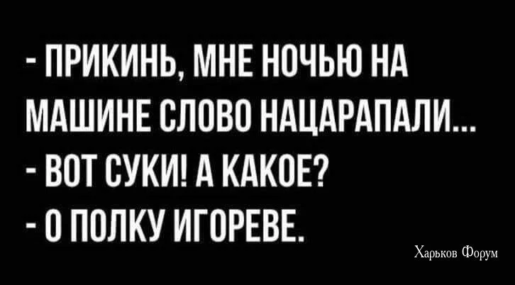 f82dddd3303f26b9aa6e5a11.webp