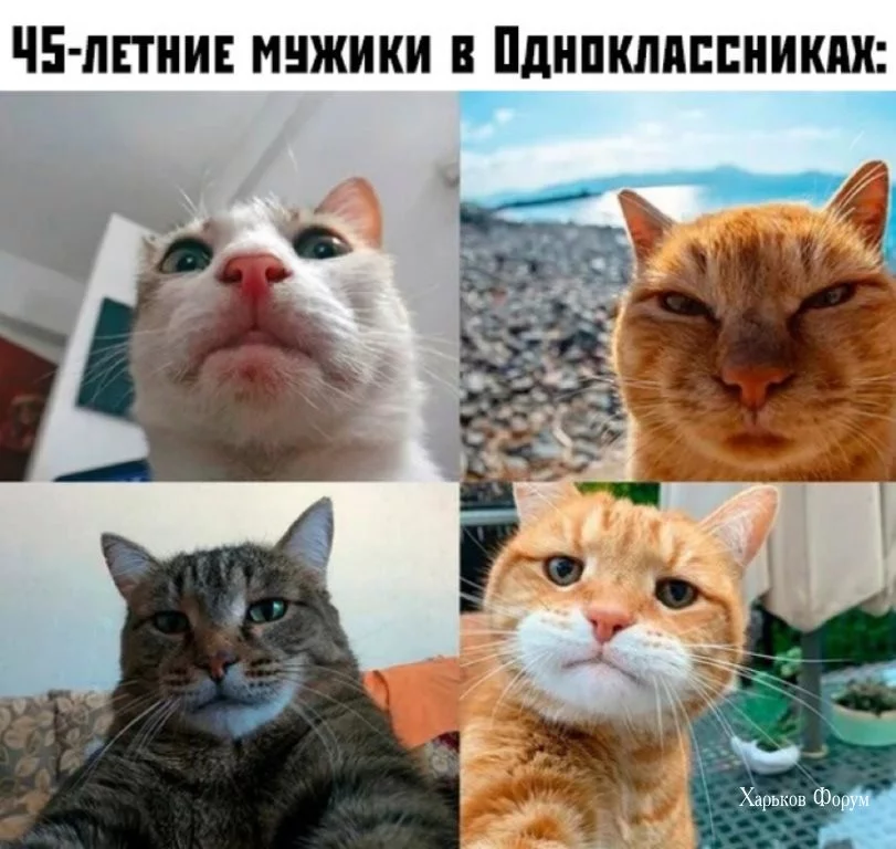 f8322cd5202a0822514896f.webp