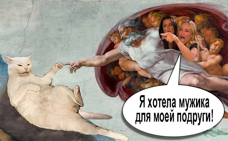 f843291f769483be60c52f99.webp
