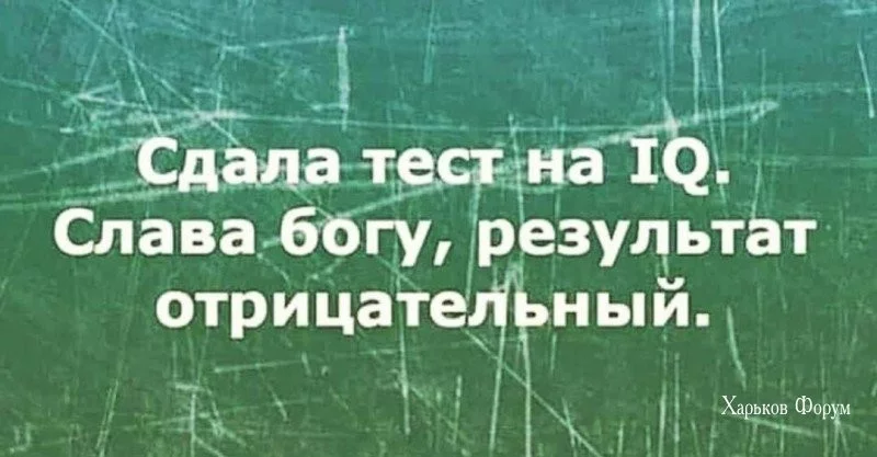 f857156061f6105101a.webp