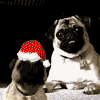 f868a6e60deaf815909c402c3a7dc713.gif
