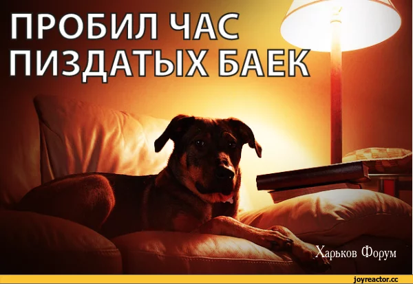 f86cf776ea33b8a5d0.webp