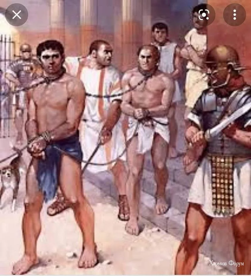 f876a148116b864d8aa06.webp