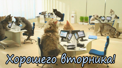 f87e134a3ce57f8cee.gif