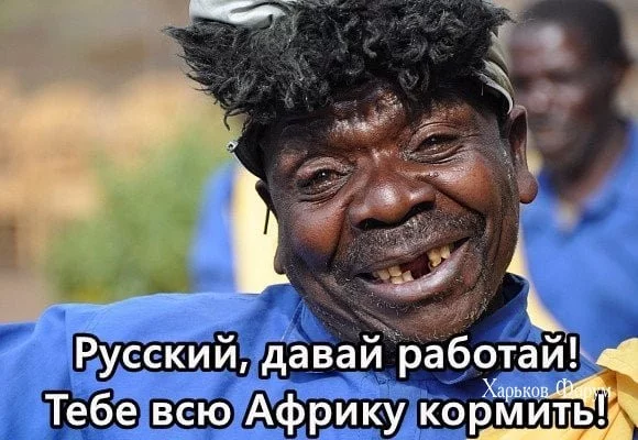 f87fa613802e8b9a00c94119.webp