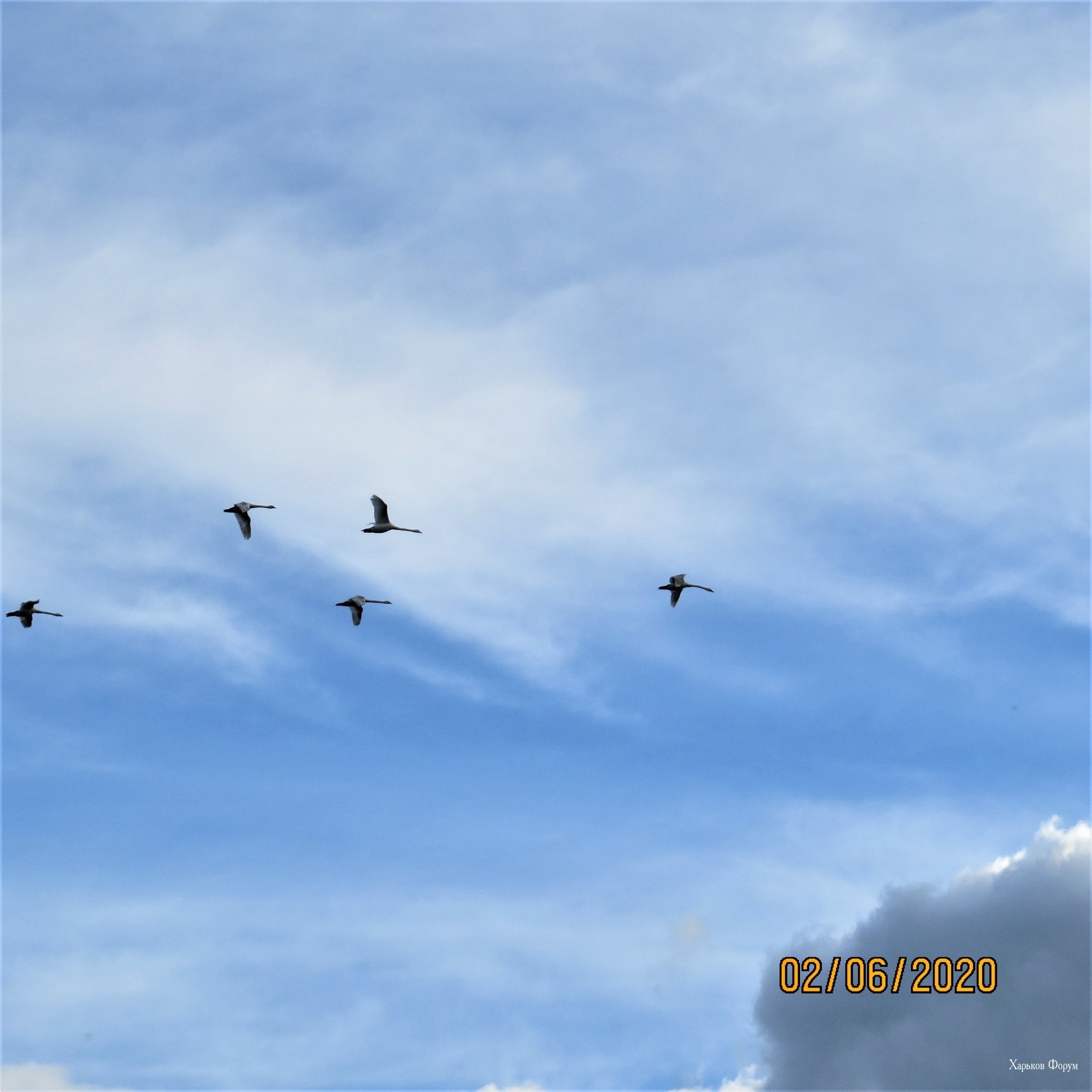 f87fc774f43253b1.jpg