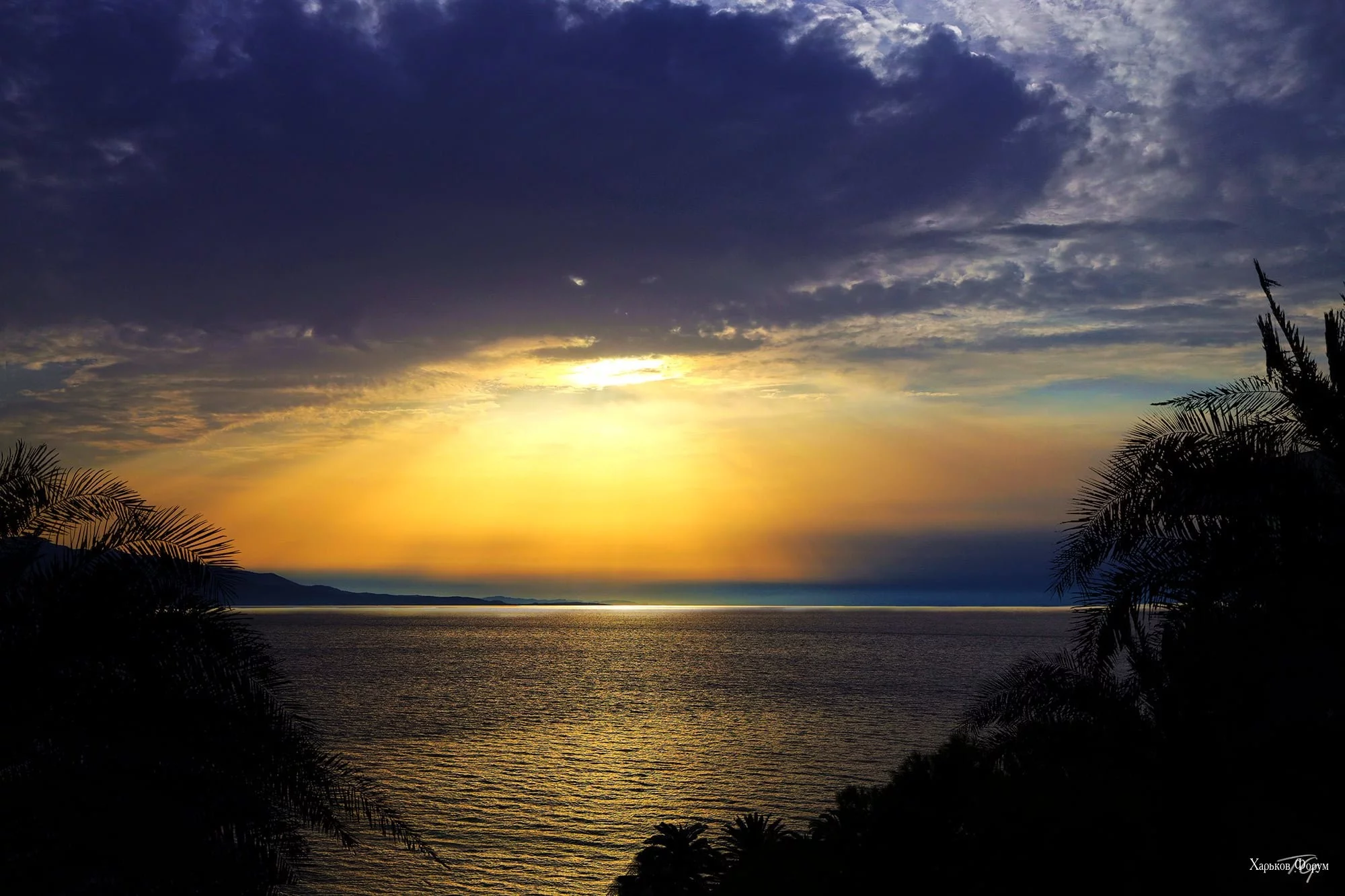 f89a2a4f8b53c658034.webp