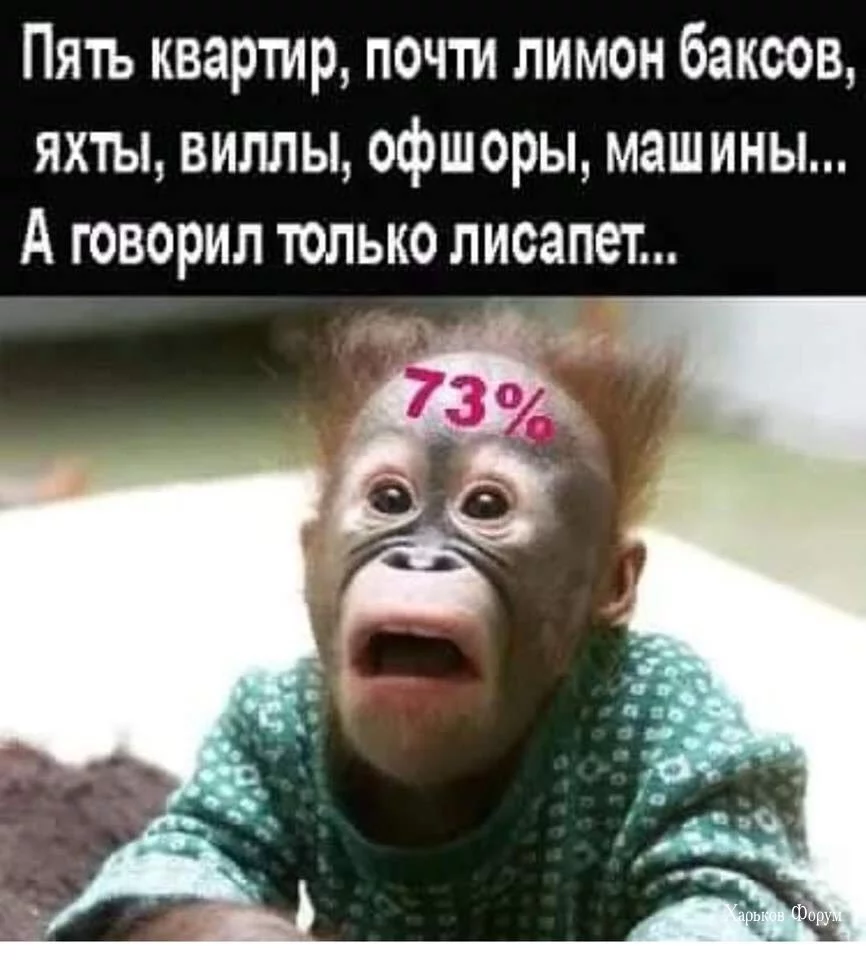 f8ac23951ed9f73f1df.webp