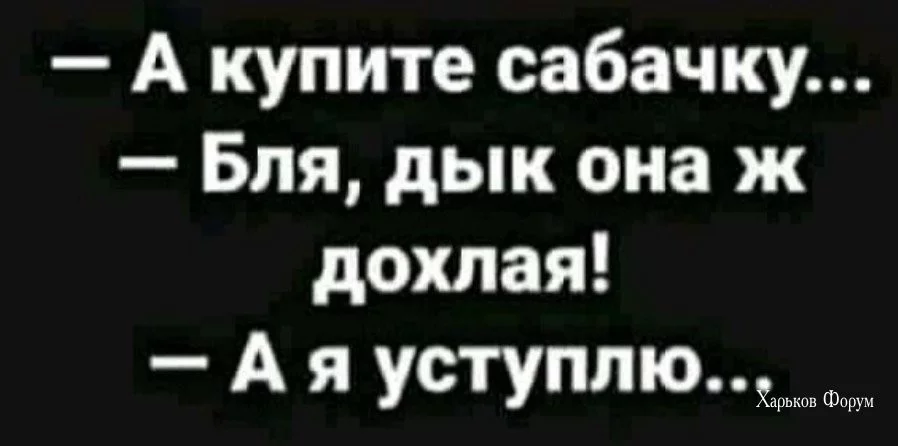 f8bab3d6d40889eff941745.webp