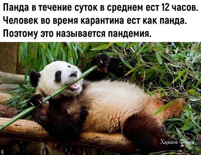 f8be61782e1300969ca7.webp