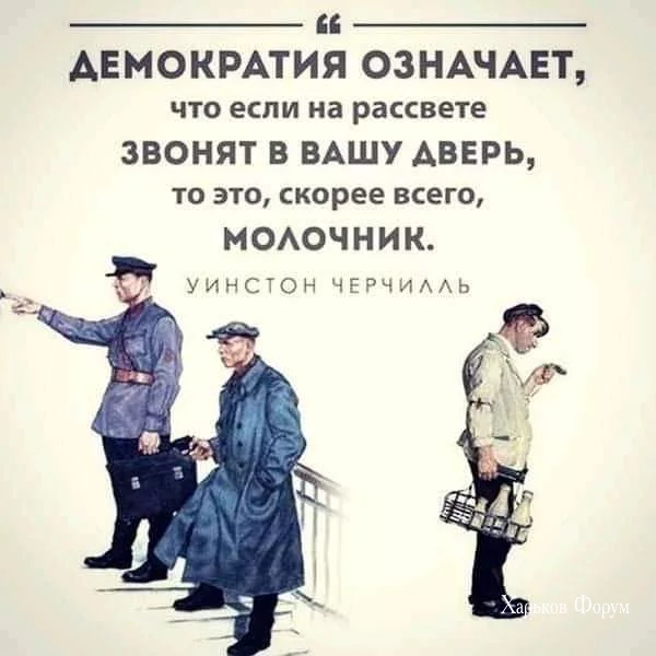 f8cb5b2f03df40cc6b2cc404.webp