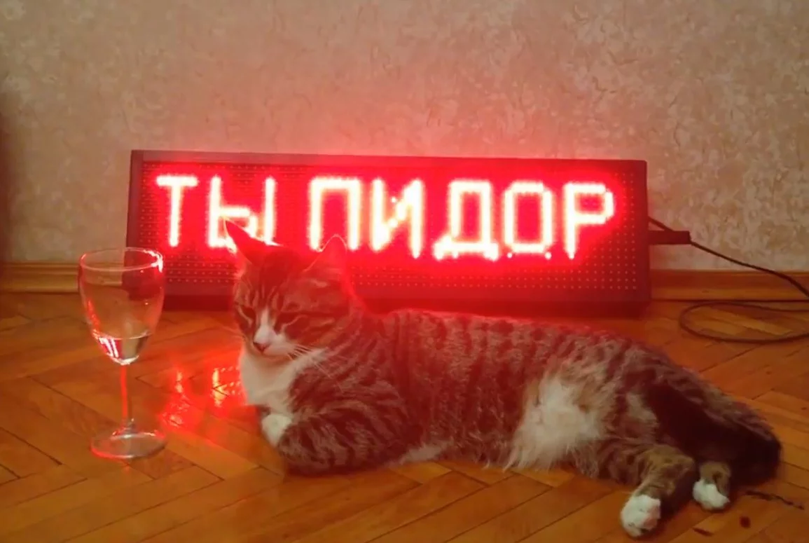 f8ccdf.webp
